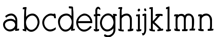 KleinSlabSerifBold Font LOWERCASE