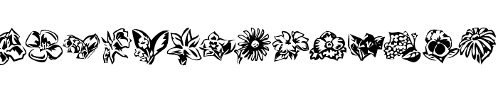 KR Beautiful Flowers 3 Font UPPERCASE