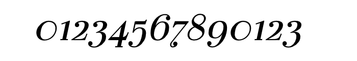 La Bodoni Plain Italic Font OTHER CHARS