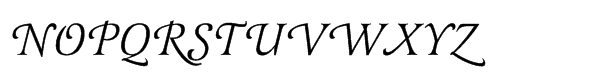 Latienne Std Swash Alternative Regular Italic Font UPPERCASE