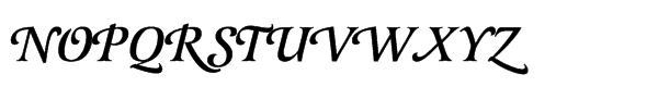 Latienne Std Swash Medium Italic Font UPPERCASE