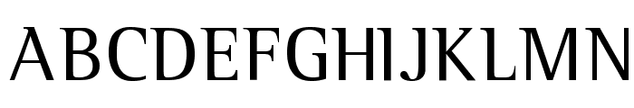 Leftist Mono Serif Font UPPERCASE