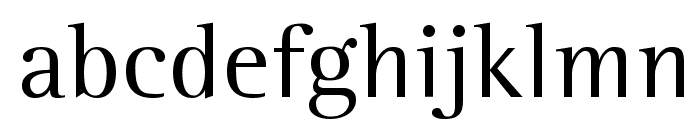 Leftist Mono Serif Font LOWERCASE