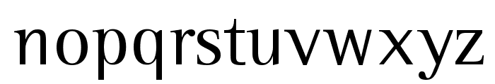 Leftist Mono Serif Font LOWERCASE