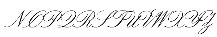 LeviScriptOpti Font UPPERCASE