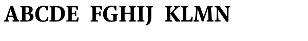 Liber Serif Bold Font UPPERCASE