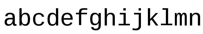 Liberation Mono Font LOWERCASE