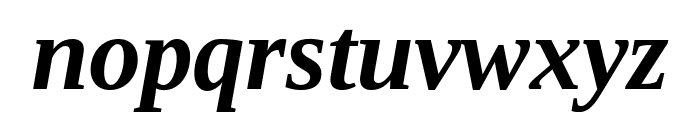 Liberation Serif Bold Italic Font LOWERCASE