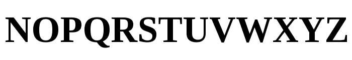 Liberation Serif Bold Font UPPERCASE