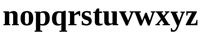 Liberation Serif Bold Font LOWERCASE