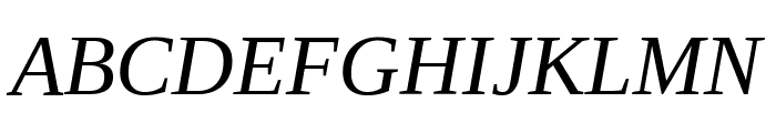 Liberation Serif Italic Font UPPERCASE