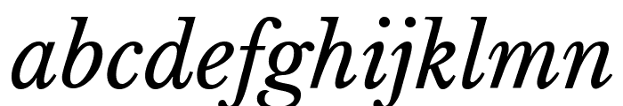 Libre Baskerville Italic Font LOWERCASE