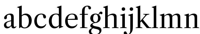 LibreCaslonText-Regular Font LOWERCASE