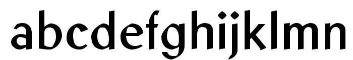 LibrisADFStd-Bold Font LOWERCASE