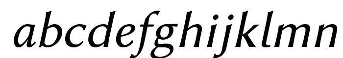 Linux Biolinum Italic Font LOWERCASE