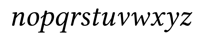 Linux Libertine Italic Font LOWERCASE