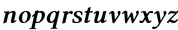 Linux Libertine O Bold Italic Font LOWERCASE