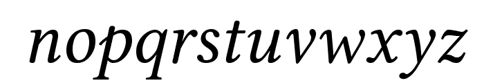 Linux Libertine O Italic Font LOWERCASE