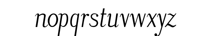 LitosScript-Italic Font LOWERCASE