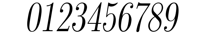 LMRomanDunh10-Oblique Font OTHER CHARS