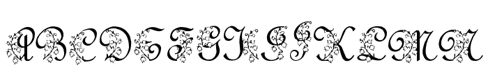 LMS Lily Of The Valley Font UPPERCASE