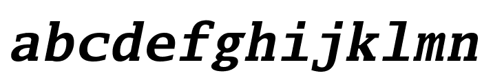 Luxi Mono Bold Oblique Font LOWERCASE