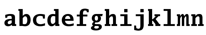 Luxi Mono Bold Font LOWERCASE