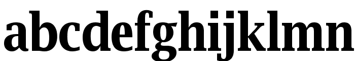 Luxi Serif Bold Font LOWERCASE