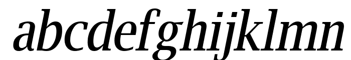 Luxi Serif Oblique Font LOWERCASE