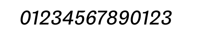 Maple Regular Italic OT Font OTHER CHARS