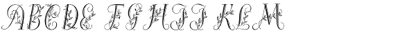 Maria-Balle-Initials Font LOWERCASE