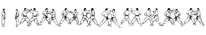 McCoy Dingbat Karate Font OTHER CHARS