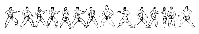 McCoy Dingbat Karate Font LOWERCASE