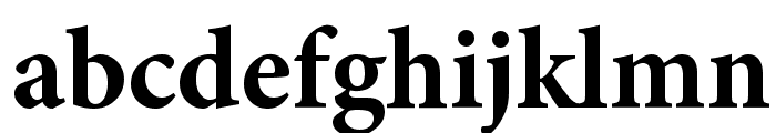 Mignon-Bold Font LOWERCASE