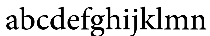 Mignon-Medium Font LOWERCASE