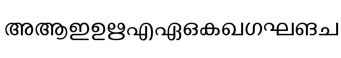 ML-TTKarthika Normal Font UPPERCASE