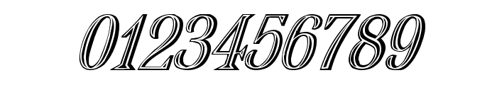 Nauert-Italic Font OTHER CHARS