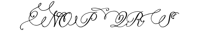 Nelly Script Flourish OT Font - What Font Is