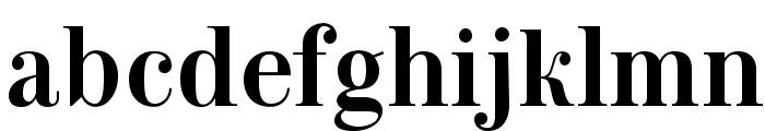 NeoplantaBG-Bold Font LOWERCASE