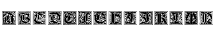 NeugotischeInitialen Font LOWERCASE