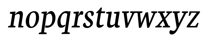 Neuton Italic Font LOWERCASE