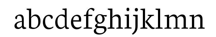 Neuton Light Font LOWERCASE