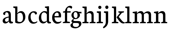 Neuton Regular Font LOWERCASE