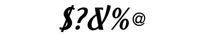 NewForum Italic Font OTHER CHARS
