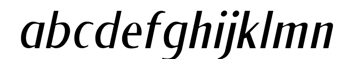 NewForumLight Italic Font LOWERCASE