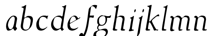 NewStyleLight Italic Font LOWERCASE
