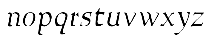 NewStyleLight Italic Font LOWERCASE