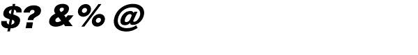 Newhouse DT Black Oblique Font OTHER CHARS