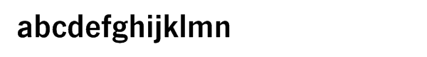 News Gothic No. 2â„¢ Bold Font LOWERCASE