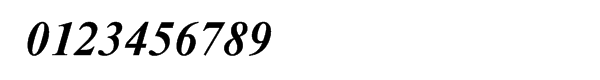 Newton Multilingual Bold Italic Font OTHER CHARS